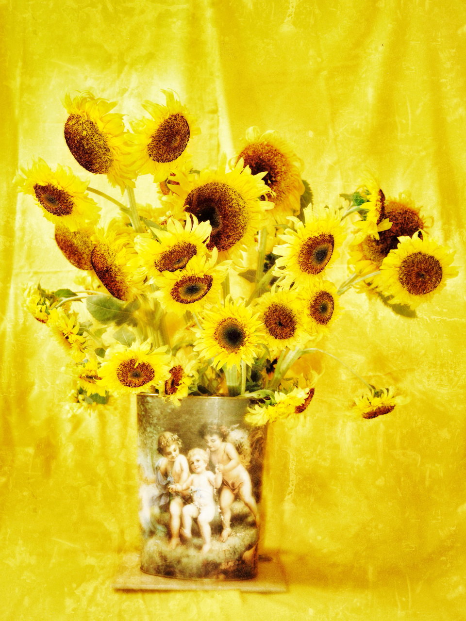 (P+R) Photography [ Sunflower to Van Gogh ]